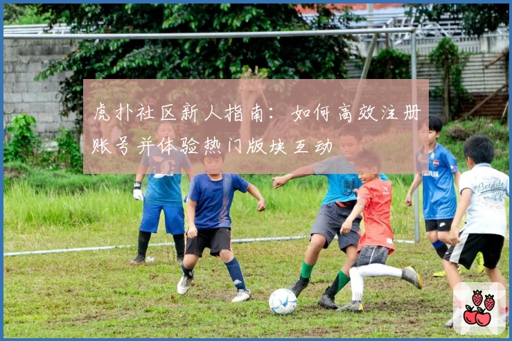 虎扑社区新人指南：如何高效注册账号并体验热门版块互动