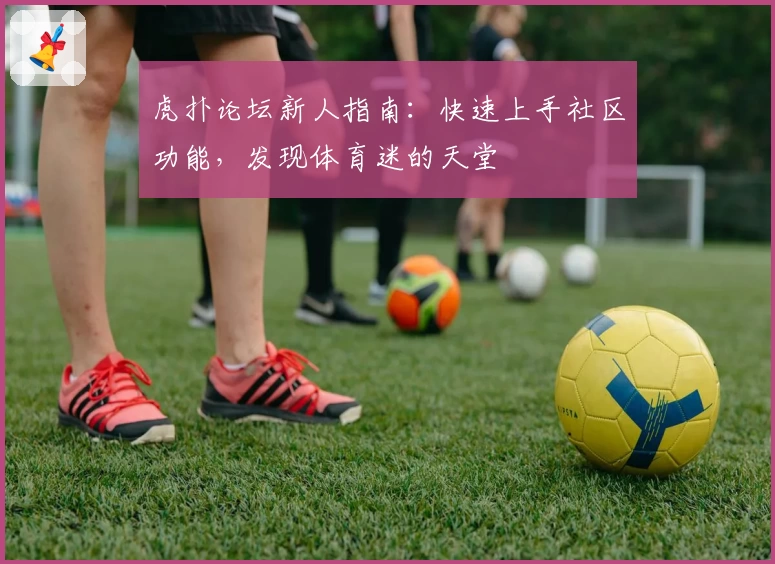 虎扑论坛新人指南：快速上手社区功能，发现体育迷的天堂